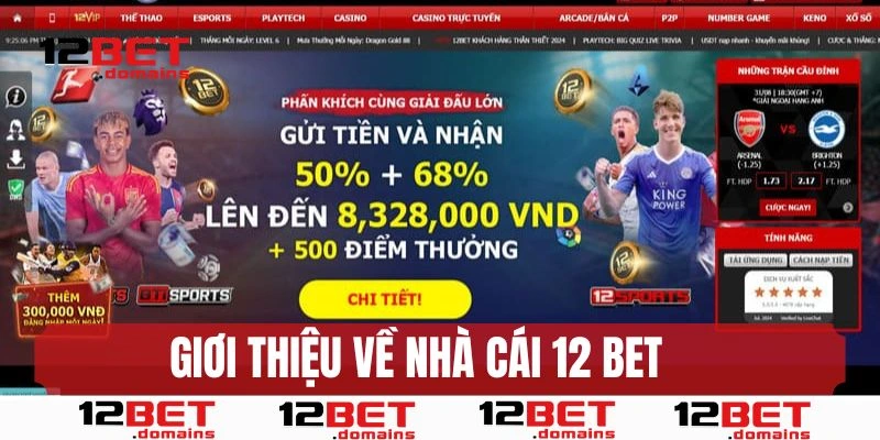 Giới thiệu thương hiệu 12bet