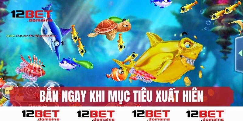 Bắn khi cá vừa xuất hiện 