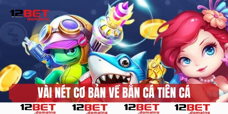 Vài nét cơ bản về bắn cá tiên cá